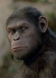 Названа дата премьеры сиквела "Восстания планеты обезьян"